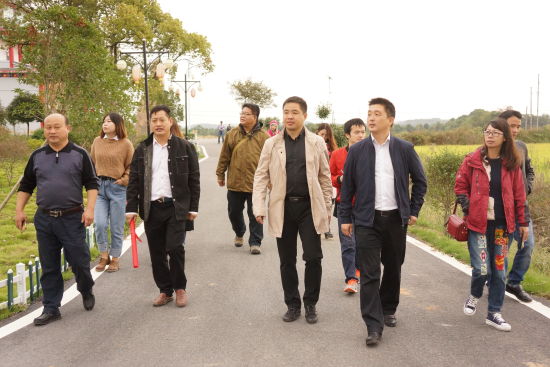 全媒体聚焦鄱阳县油墩街镇秀美乡村建设成果