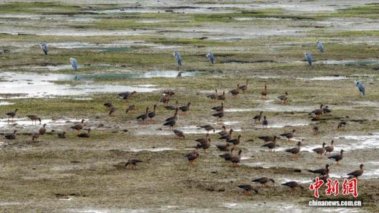 11³۶ˮѷֻ׶㡢С׶㡢ټȥִʱƳ˽¡ .jpg