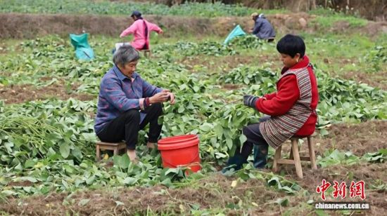 ڲժëĴ񡣡ɽίͳսͼ