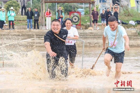 图为木碾犁田项目中,选手在水田里拉木碾。中新社记者 刘力鑫 摄 图为木碾犁田项目中,选手在水田里拉木碾。中新社记者 刘力鑫 摄