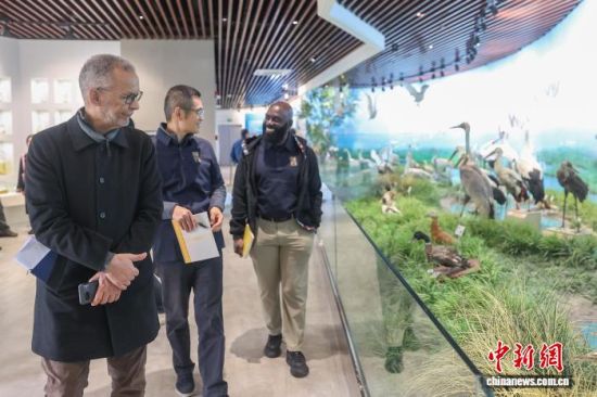 11月17日,中外嘉宾在鄱阳湖湿地和候鸟宣传教育中心参观,了解鄱阳湖人文地理、动植物资源和相关保护工作开展情况。 刘力鑫 摄 11月17日,中外嘉宾在鄱阳湖湿地和候鸟宣传教育中心参观,了解鄱阳湖人文地理、动植物资源和相关保护工作开展情况。 刘力鑫 摄