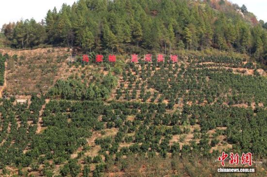 1119գĹֲأдУĹʵ֦ͷ ռ 