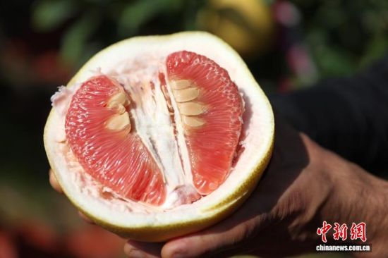 1119գģֹõƷѣ֭ˮӯϣӨ͸ ռ 