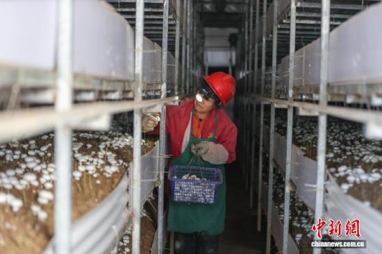 1119գְأũ˫߹ڲ˫߹  