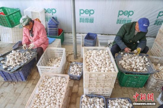 1119գְأũղյ˫߹  