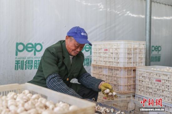 1119գְأũղյ˫߹  