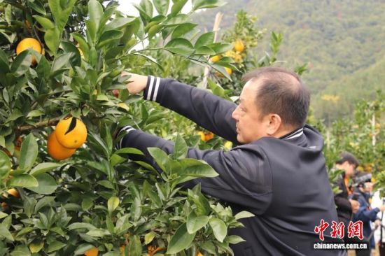 ͼΪڲժȵο͡ ܽ .jpeg