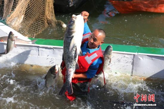 1122գŽһžµˮУ߸߾һ˶㡣 ռ 