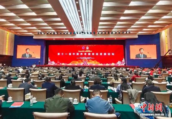 1122գʮһйϷҵչ̳ڹоٰ졣 ÷ .jpg