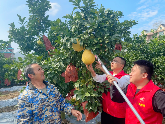 ͼΪ����̲�־Ը�߰�æ��ժ������