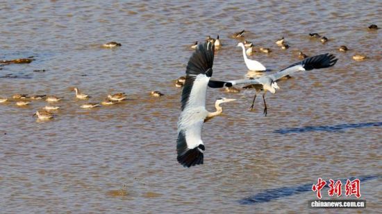 1125գڽŽкأڴϢʳ .jpg