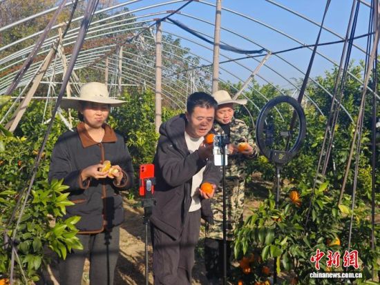 ���ڰ������ش��������������ܽ��� ��.jpg