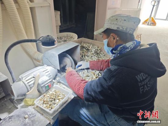 正在加工贝壳的村民。 熊锦阳 摄.jpg 正在加工贝壳的村民。 熊锦阳 摄.jpg