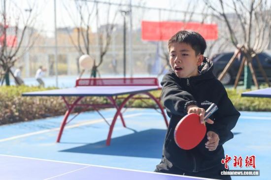 小朋友在花梨木“口袋体育公园”打乒乓球。 小朋友在花梨木“口袋体育公园”打乒乓球。