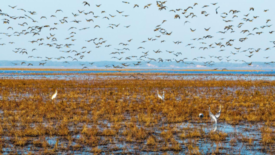 程应明 摄 程应明 摄