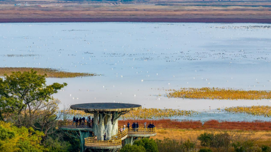程应明摄 程应明摄