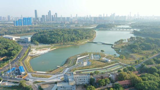 湿地生态系统与森林 湿地生态系统与森林