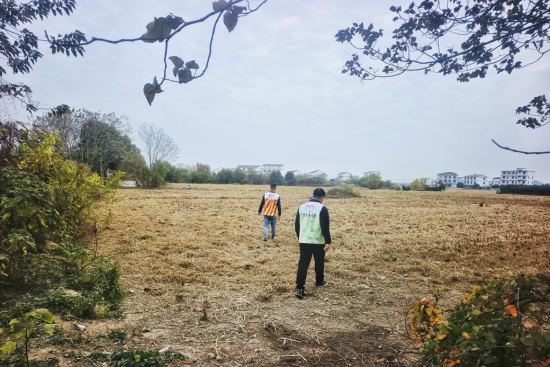 图为滩上村工作人员深入田间地头,开展常态化巡查 图为滩上村工作人员深入田间地头,开展常态化巡查