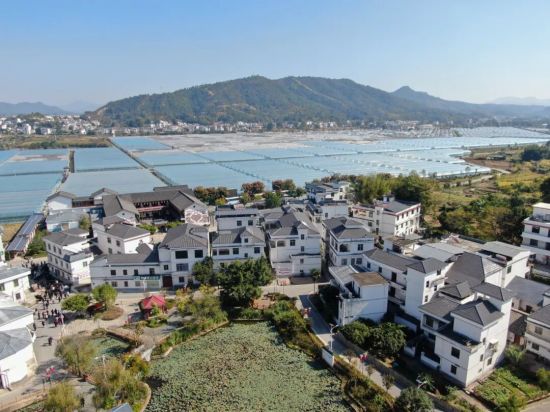 20251121գȨжй2025лηݡͼΪ̶ͷ⣬ԶǸ߲˴   .jpg