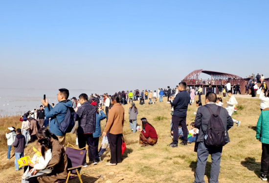 ������ ��