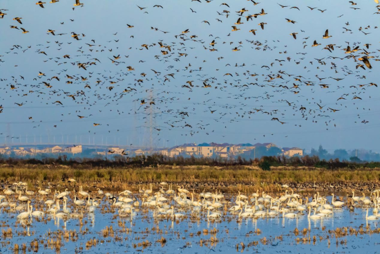 ��С�� ��