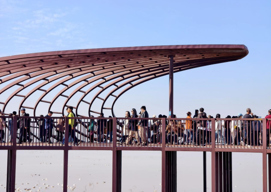 ������ ��2