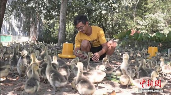 ��̫�����ڲ鿴ʨͷ����������������Զ����ý�����Ĺ�ͼ