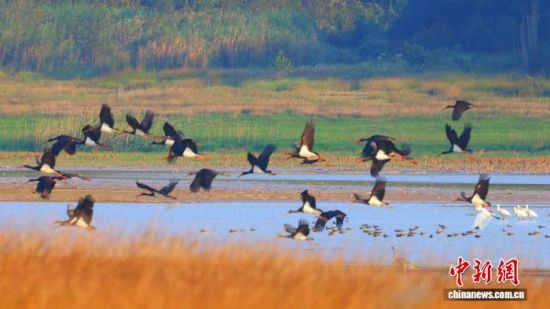 2024��11��2�գ����������輯��λ�ڽ��������ؾ��ڵĽ���۶�������Ҽ���Ȼ��������Ǳ�������վϽ���ڡ�(����ͼ) ��С�� ��.jpg