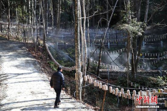 ͼΪ����ʡ�����й���صĕB���ֳ���������+��+ҩ�����Ͼ�Ӫʾ�����ء����� ��ռ�� ��.jpg