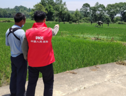 ̨���ڼ乫˾����������չΣ��·��Ȱ�����������˻��鿱