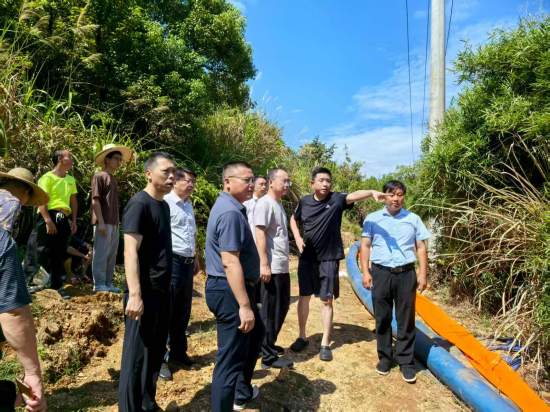 �����г����Ӷ����Ӳ쿹����ȹ���