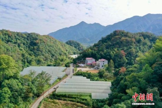 ͼΪ���Ľ���ʡ�Ž�����������������ƴ��޺�����ֲ���ء�(����ͼ)������ίͳս����ͼ