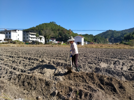 ͼΪ��ũ�´�����������¢��