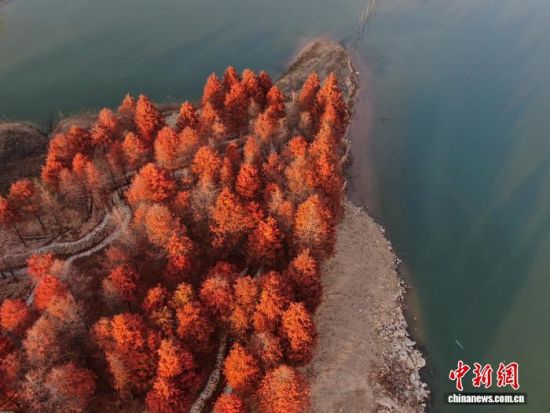 (���˻���Ƭ)��������� ������ ��