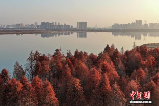 (���˻���Ƭ)��������� ������ ��