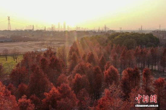 1��14�գ������ϲ���������������λ�ڸӽ�֮����һƬ����ɼ�ַ��졣������ ��