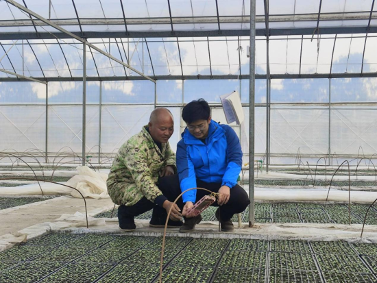 ͼΪ��Ҷ������Ա���ڶ����继����ָ��