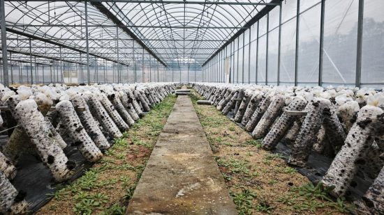 ͼΪ������ũʹ���������������ֲ����