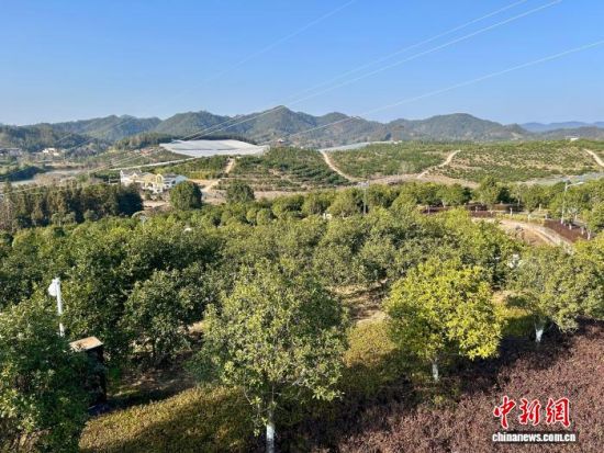 ͼΪ2026��1����Ѯ��λ�ڽ���ʡ�������ŷ��ذ������й�������Ȳ�ҵ԰����Ө ��.jpg