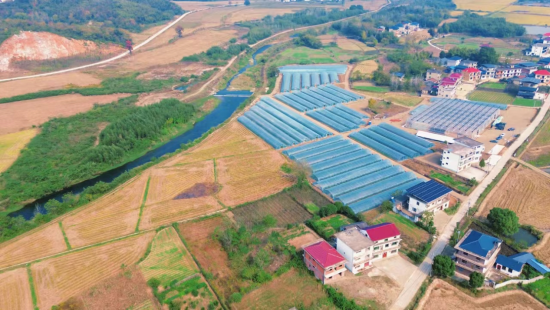 彭泽县天红镇凤鸣村轮作大棚育秧中心 彭泽县天红镇凤鸣村轮作大棚育秧中心