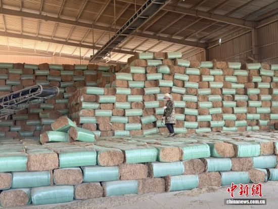 图为南昌景鹏生态农业有限公司厂房内加工完成的秸秆饲料。卢梦梦 摄 图为南昌景鹏生态农业有限公司厂房内加工完成的秸秆饲料。卢梦梦 摄