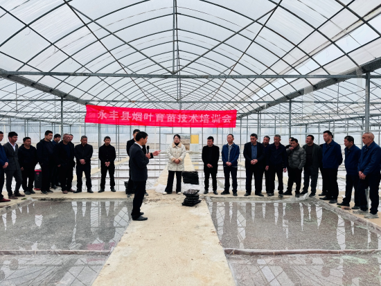 ͼΪ��������Ҷ���缼���ֳ���ѵ��