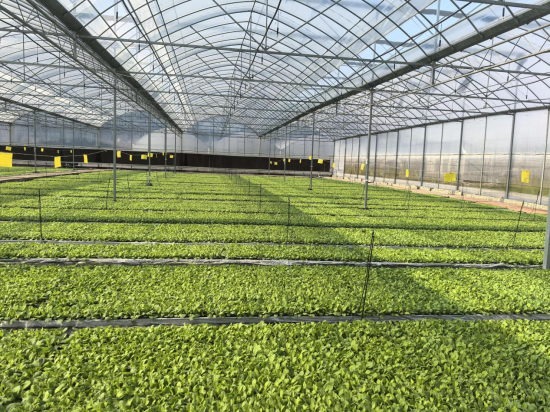 ͼΪ���ܻ��������