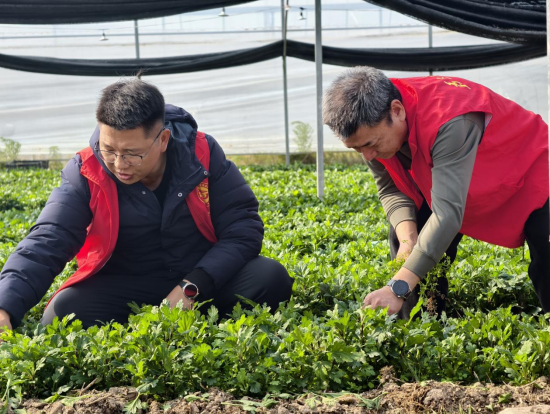 ͼΪפ�幤���Ӷ�Ա���ڰ�ũ������