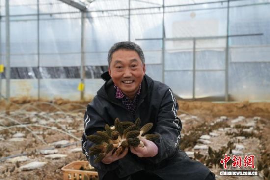 ͼΪ�ڽ���ʡ�������������Ϸ������Ǿ���ֲ���أ����˲�ժ������Ǿ��������� ��