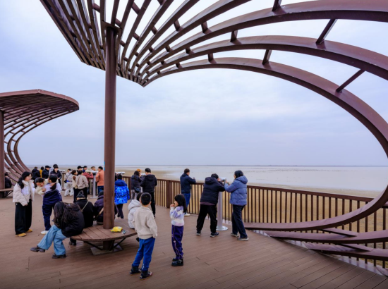 ����(��Ӧ�� ��)