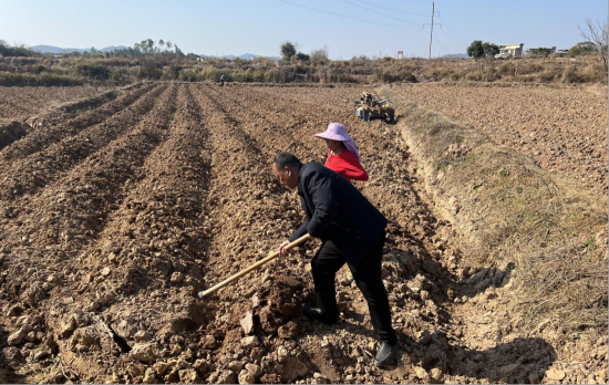 ͼΪ��Ҷ������Ա����ָ����ũ��¢