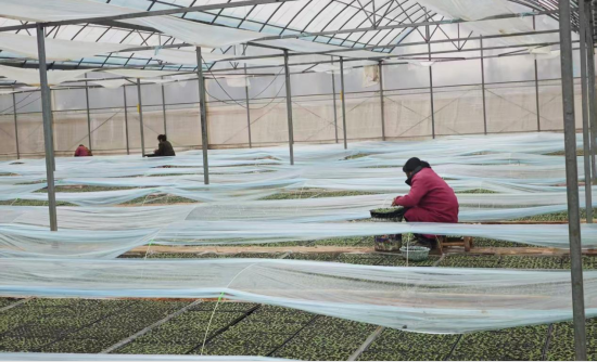 ͼΪ��ũ���������ڽ�ˮ�����ݡ�����