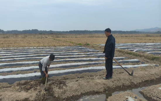 图为技术人员指导烟农灌溉“跑马水” 图为技术人员指导烟农灌溉“跑马水”