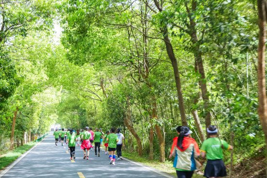 �����Ǵ����������������̬���ȡ�